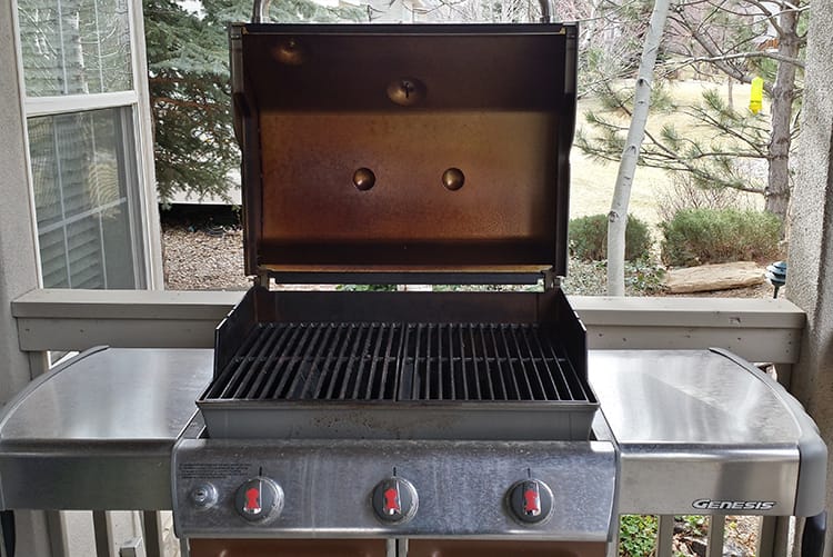 Weber Genesis Cleaning Master Course Grill Cleaning Pro